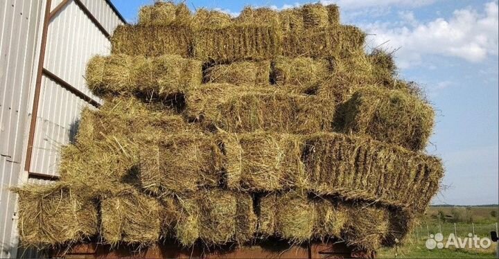 Сено, солома в мешках, в тюках