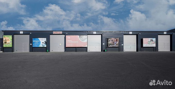 Пшено кормовое