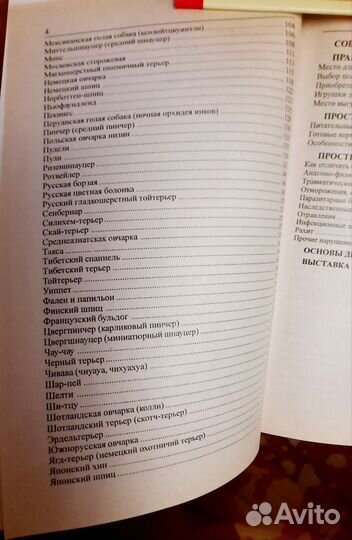 Книга Ваш Пёс Анастасия Минская