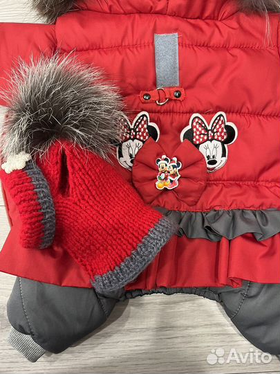 Одежда для собак