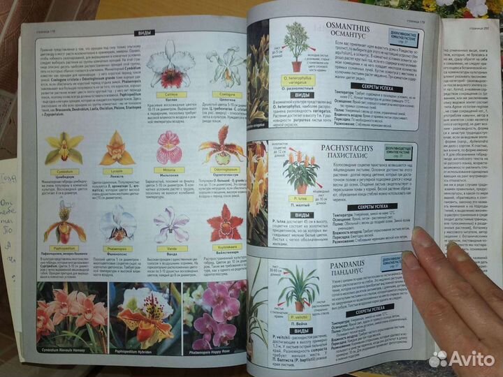 Книга о комн.растениях (Садовая