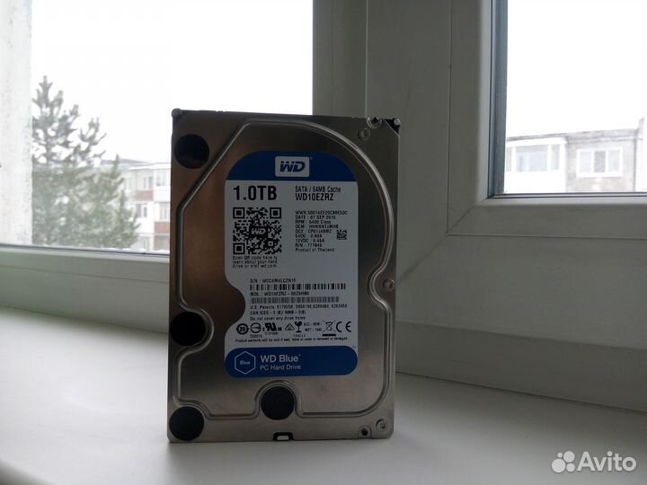 Жесткий диск 1 тб Western Digital (WD10ezrz)
