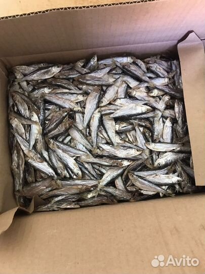 Тюлька Азовская вяленая рыба