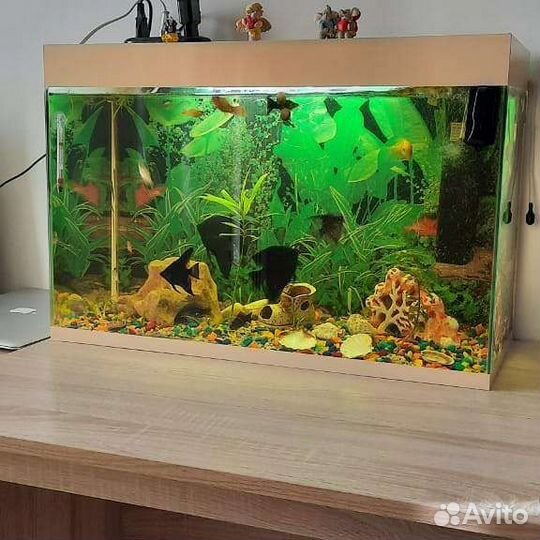 Аквариум 60литров