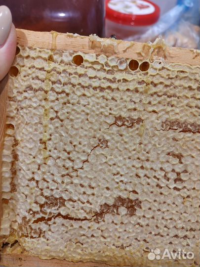 Мед 2023 года