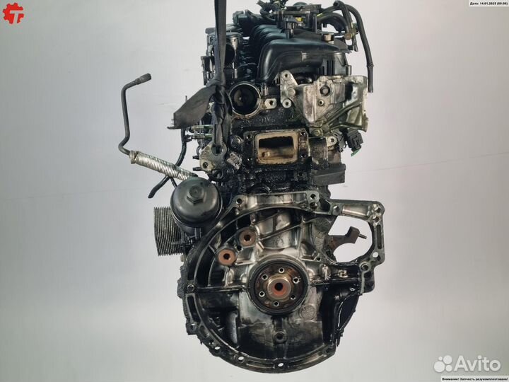 Двигатель G8DA Ford Focus 2 (2005-2011)