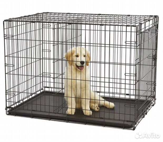 Аренда клетка для собак, кошек, аренда