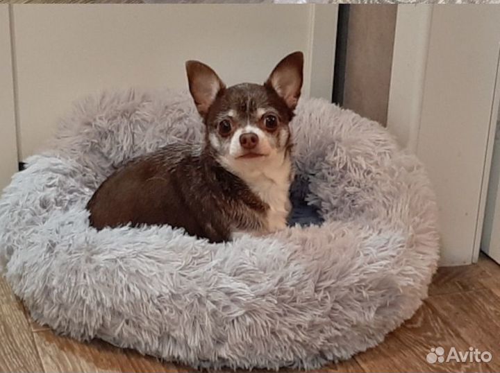 Кровать для домашних любимцев Сплюшка