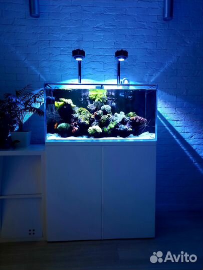 Аквариум 200 литров