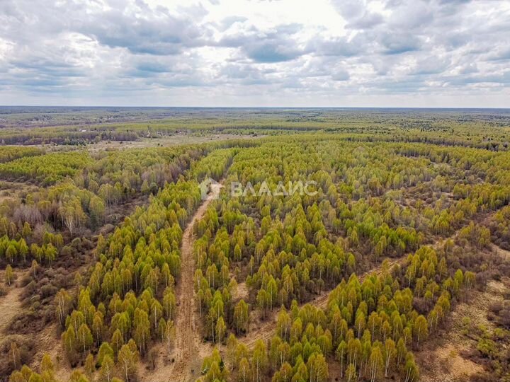 Участок 21,8 сот. (СНТ, ДНП)