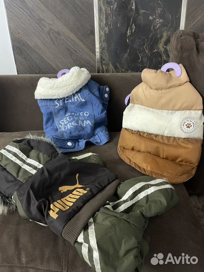 Вещи для собак