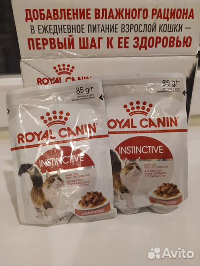 Корм для кошек royal canin влажный
