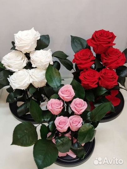 Подарок на новый год / Роза в колбе