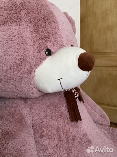 Большие плюшевые медведи