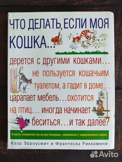 Что делать, если моя кошка