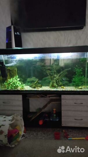 Аквариум с тумбой 400 литров
