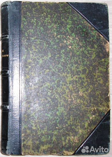 Человек и Земля. Том 3. Реклю Э. 1907г