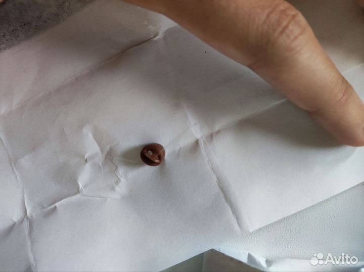 Микронаушник магнитный