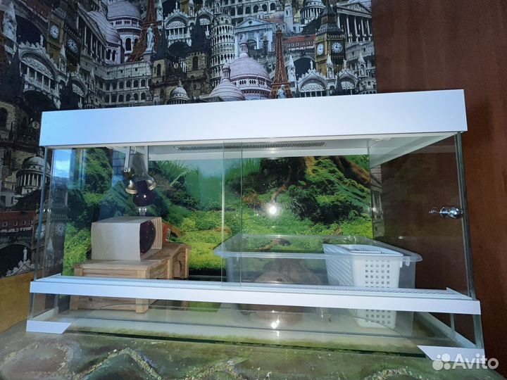 Террариум для рептилий бу