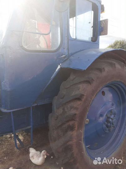 Трактор МТЗ (Беларус) 50, 1986
