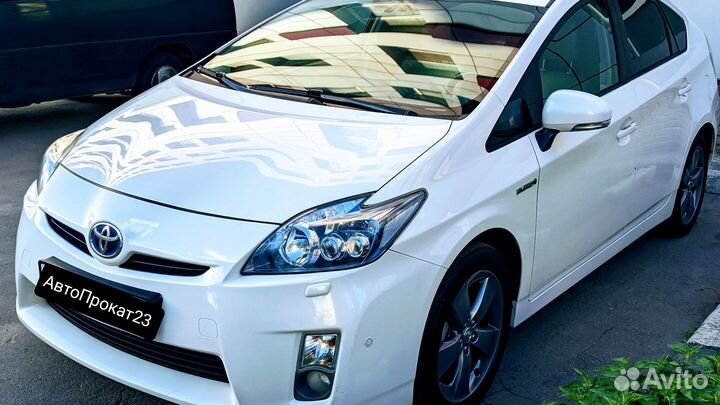 Прокат Аренда Авто Сочи Toyota Prius JDM правый ру