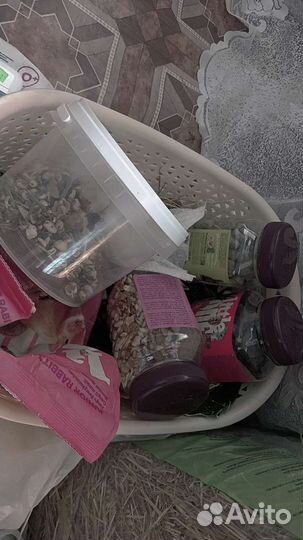 Клетка для кролика и кролик