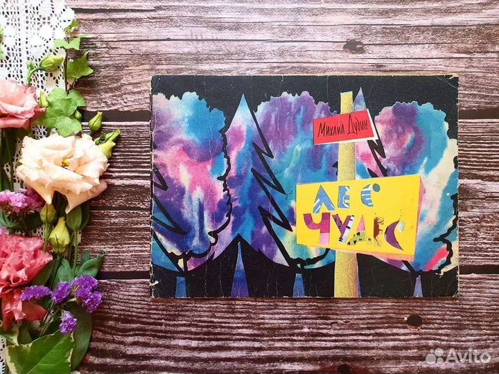 Дудин. Лес чудес. 1962 г