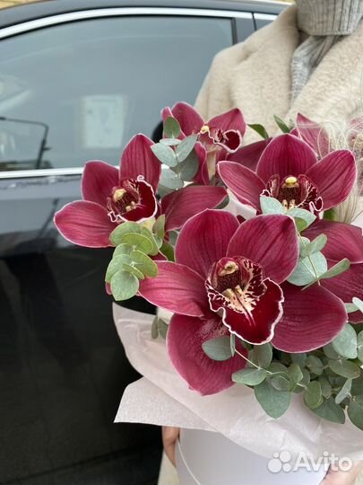 Орхидеи, феленопсис, цимбидиум, букет