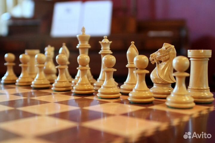 Тренер по шахматам онлайн (основатель школы шахмат