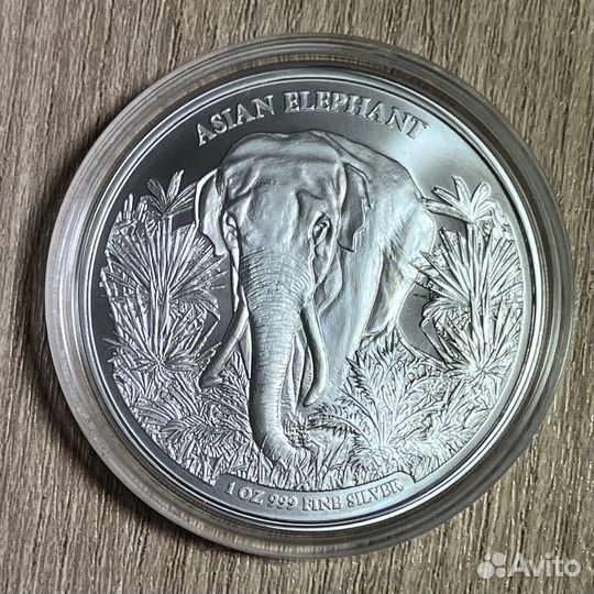 Серебряная монета Азиатский слон Камбоджа 2023