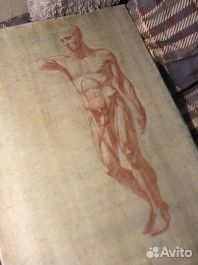 Академический рисунок на заказ/ живопись