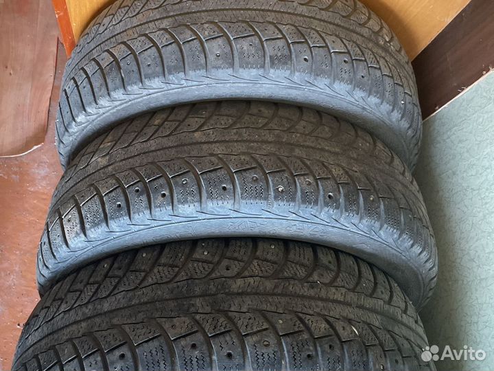 Gislaved Nord Frost 5 175/65 R14