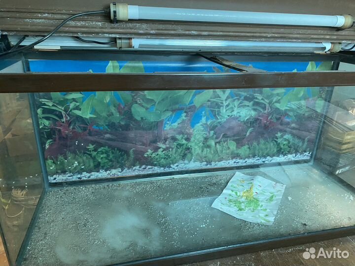 Аквариум