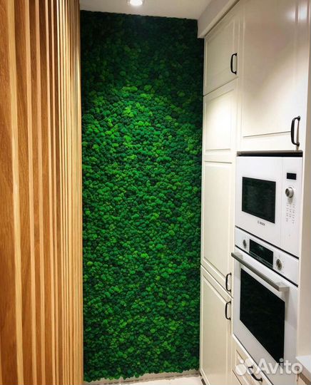 Мох стабилизированный ягель панель панно