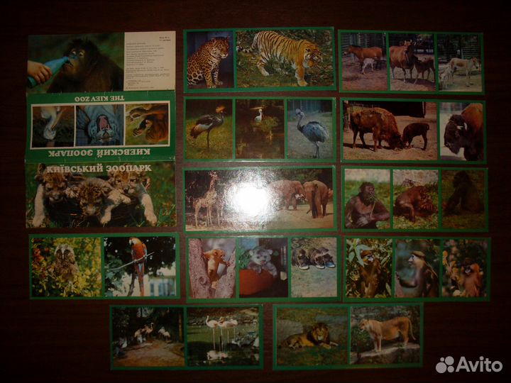 Открытки - животные