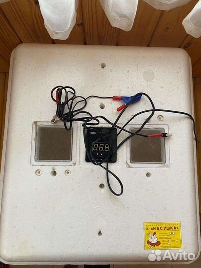 Инкубатор для яиц автоматический бу