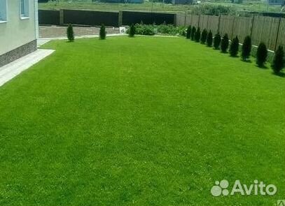 Рулонный газонУкладка Рулонного газонаГазон от про