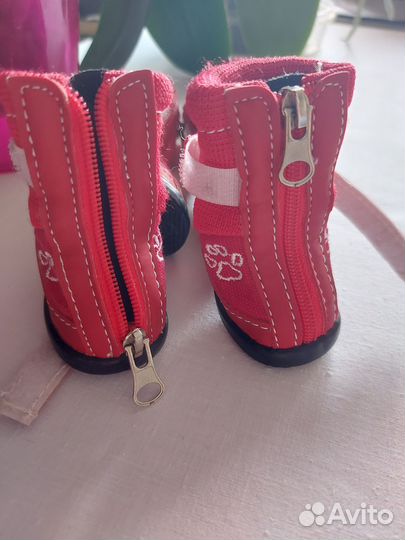 Ботинки для собак малеких пород