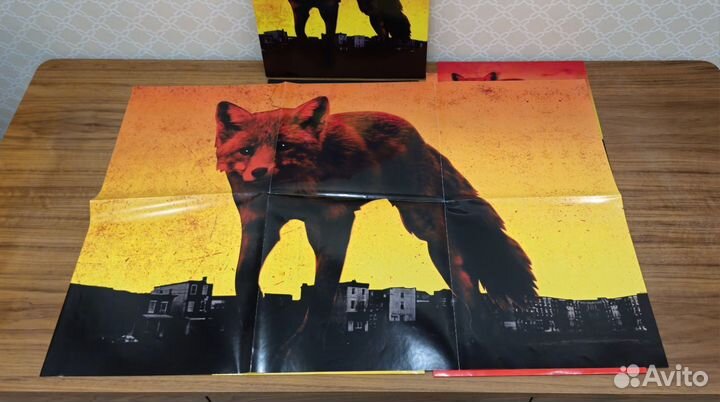 Prodigy - The day is my enemy Box set винил