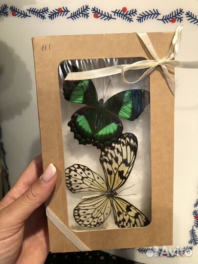 Бабочки Засушенные для фотосессий