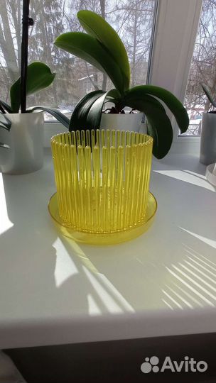 Корона для орхидей