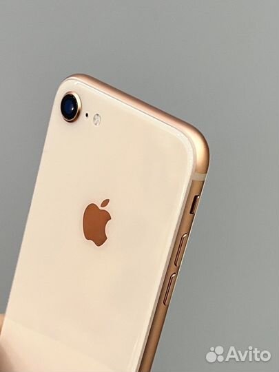 iPhone 8, 256 ГБ