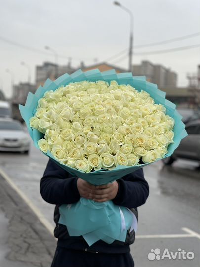 Белая Роза шикарная