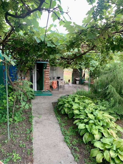 Дом 37 м² на участке 15 сот.