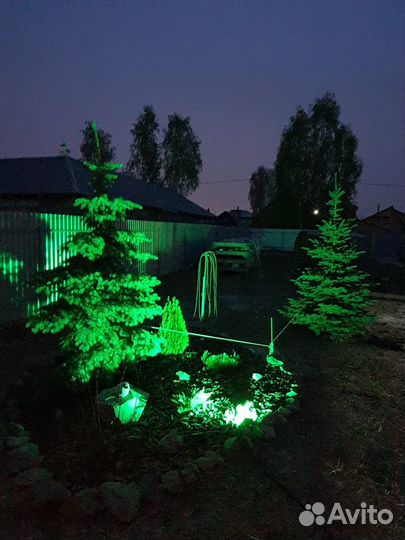 Продаются голубые ели