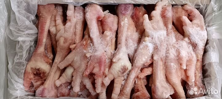 Ноги индейки, мясо, индейка, лапы