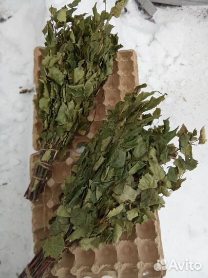 Веники для бани береза