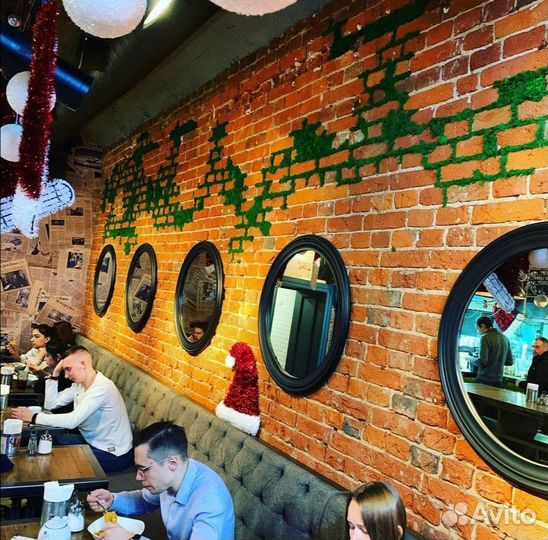 Мох стабилизированный на кирпичной стене ягель