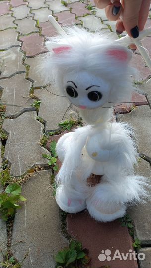 Кот шопито на леске