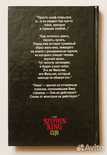 Стивен Кинг. Бешенство